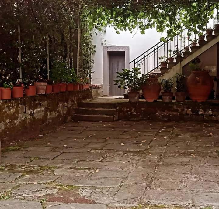 Albergo Del Ponte San Piero in Bagno Extérieur photo